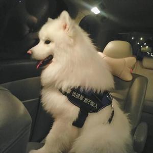 裸体美女馒头屄视频网站
